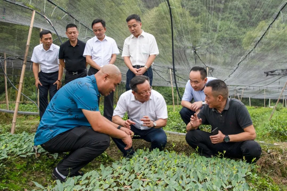 怀化市委书记雷绍业：奋力建设“三城一区” 在实施“三高四新”战略中积极担当作为