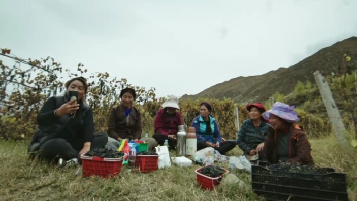 纪录片《走进西藏·高原之歌》第3集 逐梦