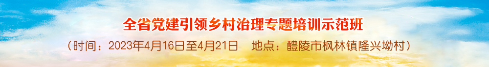 全省党建引领乡村治理专题培训示范班