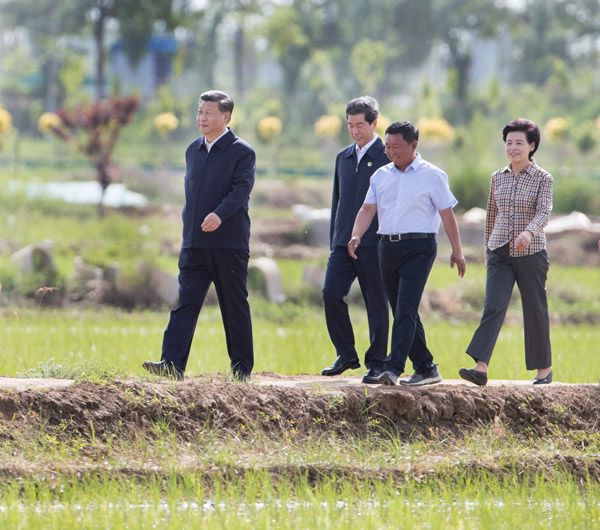 邵阳党建网 习近平在银川考察调研