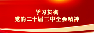 学习贯彻党的二十届三中全会精神