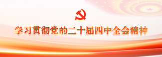 学习贯彻党的二十届四中全会精神