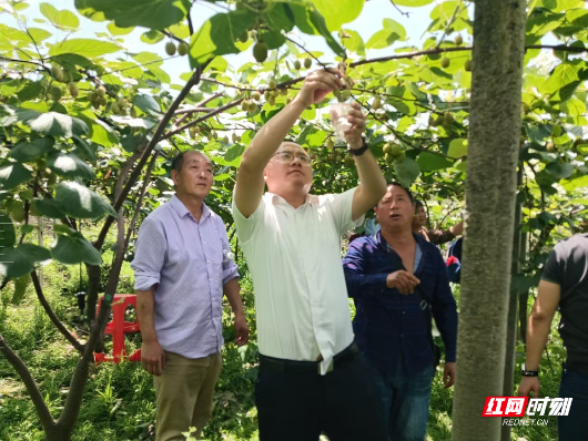 扎根苗乡沃土 实干赋能振兴——记第八届湖南省“人民满意的公务员”赵振军